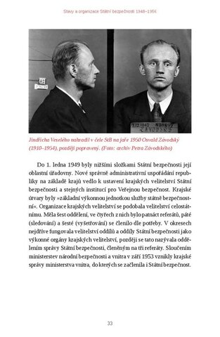 Nebezpečná bezpečnost