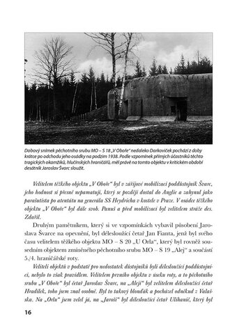 Češi se nevzdávají!