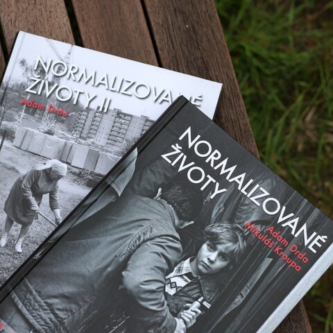 Normalizované životy. Podle televizního cyklu Příběhy 20. století