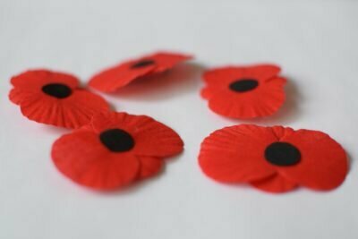 Souprava ke Dni válečných veteránů