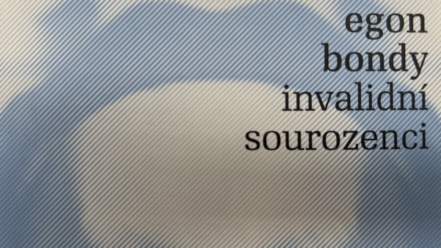 Invalidní sourozenci