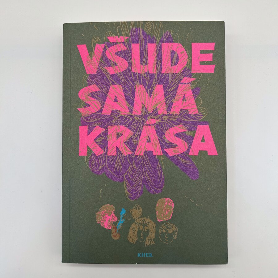 Všude samá krása - 20. století v povídkách romských autorů