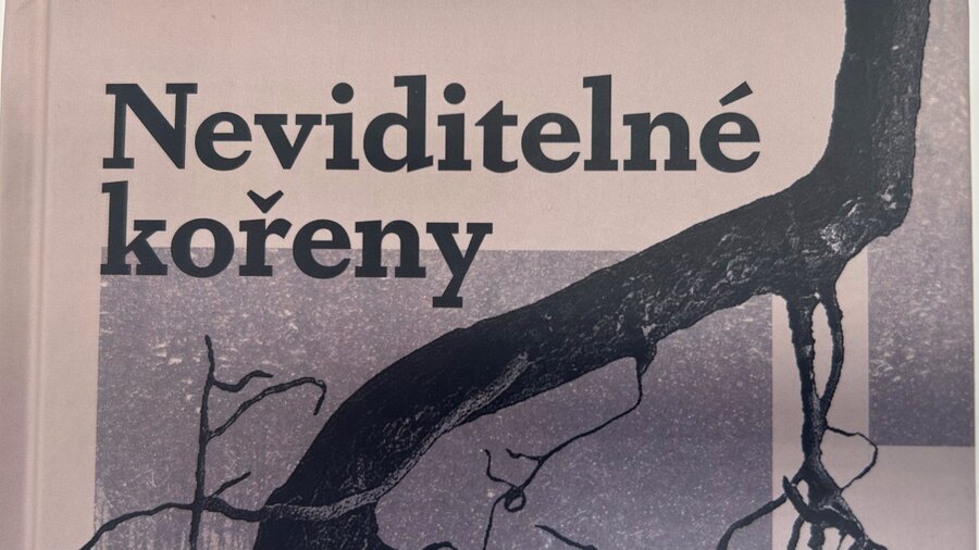 Neviditelné kořeny