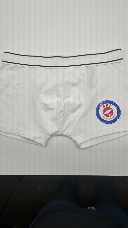 Pánské trenýrky RAF 