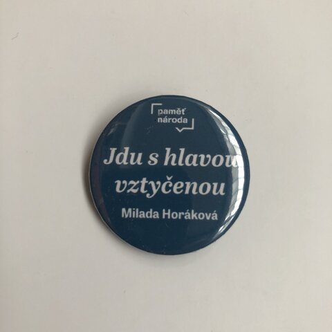 Sada placek s citáty