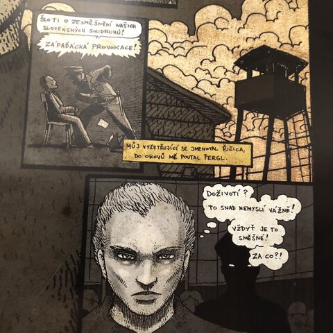 Plakát  Ještě jsme ve válce: Tomáš Sedláček