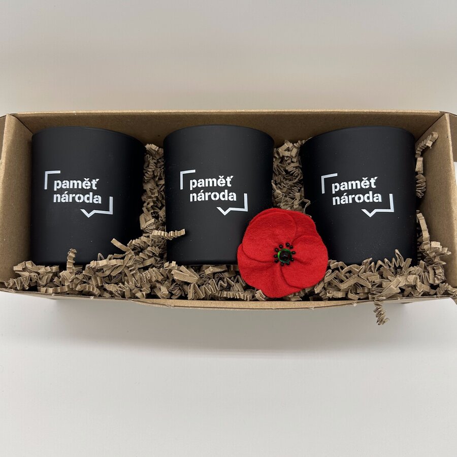 Sada pro Den válečných veteránů