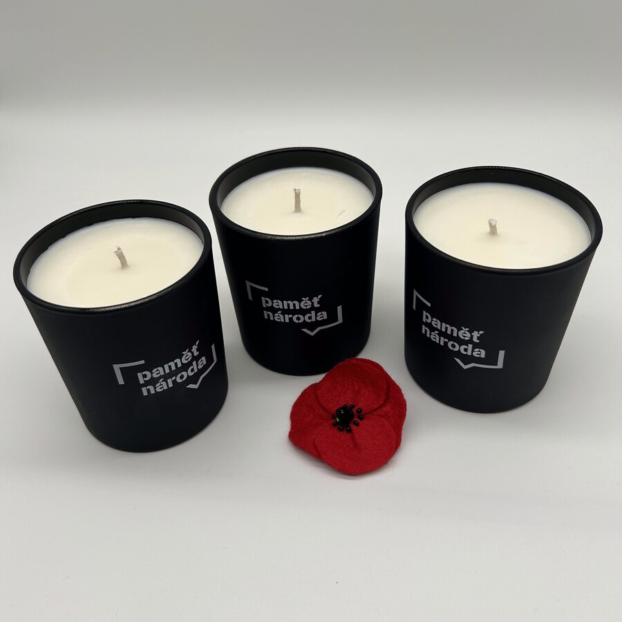 Sada pro Den válečných veteránů