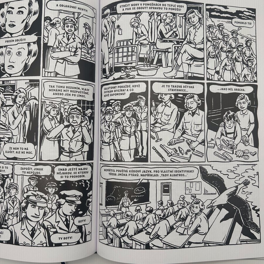 Limitovaná edice HANGÁR: RAF ve vzduchu i na zemi