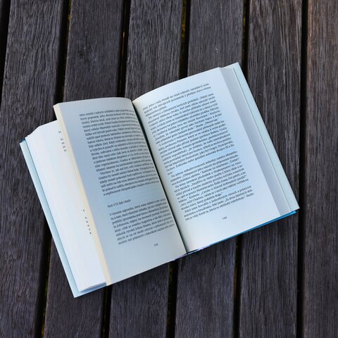 Nabokov - Bledý oheň