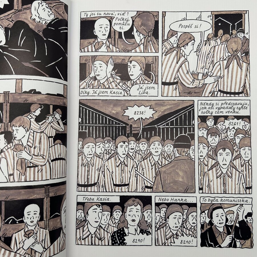 Těžká rozhodnutí 