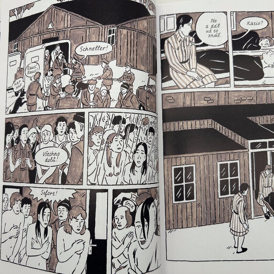 Těžká rozhodnutí 