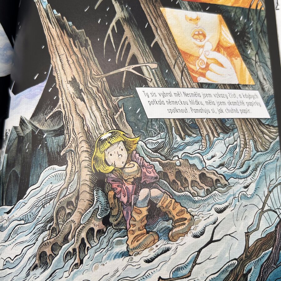 Těžká rozhodnutí 