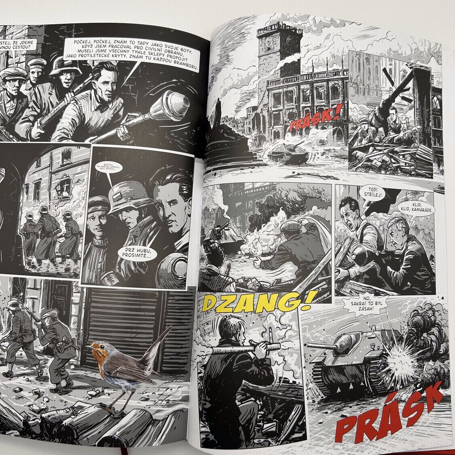 Těžká rozhodnutí 