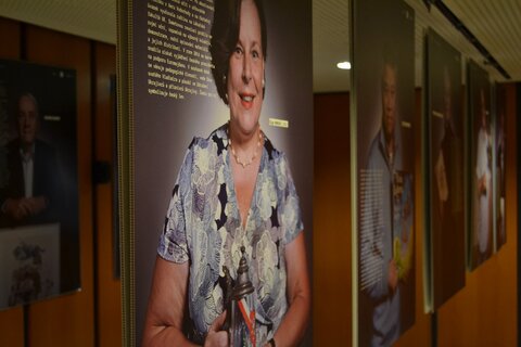 Zapůjčení výstavních systémů