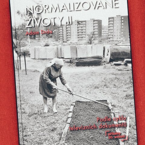 Normalizované životy II. Podle televizního cyklu Příběhy 20. století