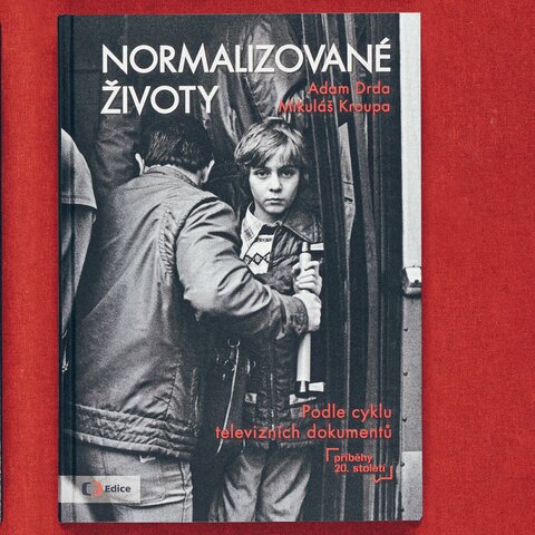 Normalizované životy. Podle televizního cyklu Příběhy 20. století