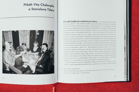 Normalizované životy. Podle televizního cyklu Příběhy 20. století